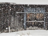 2024 Winter